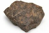 Chondrite Meteorite ( g) - Western Sahara Desert #232063-1